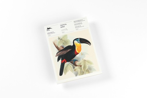 Tropical birds pepin van - tropical,