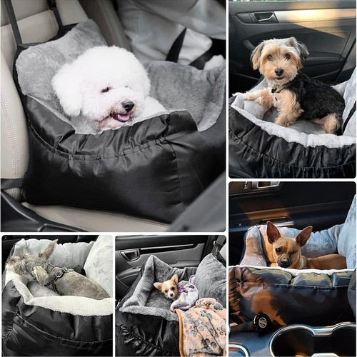 Dog booster seat puppy - dog, car