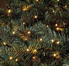 Homebase 653702 2000 Warm