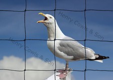 Garden netting 75mm - netting,