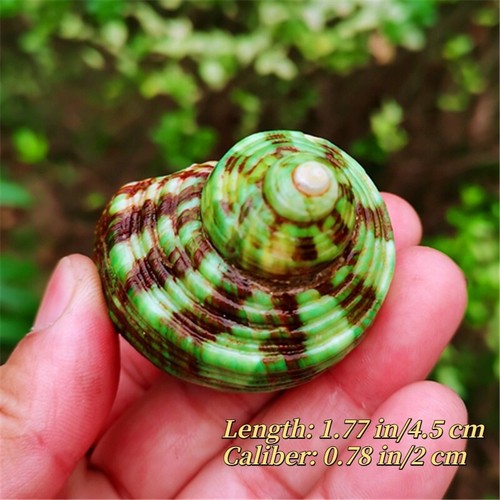 6cm small natural green - small,