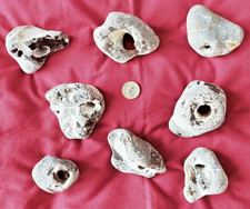8 x Large Natural Hag Stones. Pagan/wicca/wishes/holey/lucky stones   .. MM19