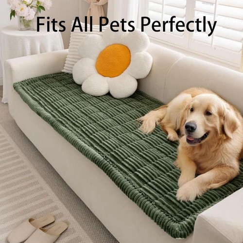 Paw lounge plush pet - paw,