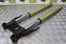 Triumph Tiger 800 Forks Fork