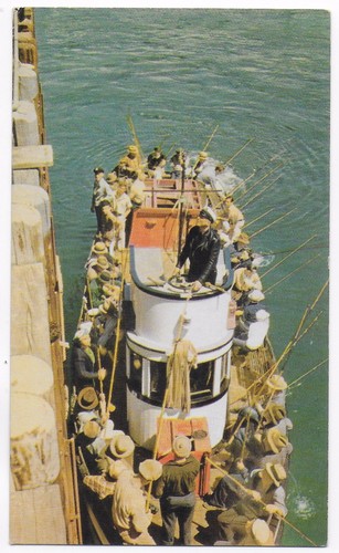 Postcard deep sea fishing - deep,