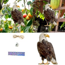 Hawk Bird Scarer Set Pigeon