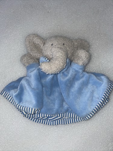 Jelly kitten cat elly beddy - jelly,