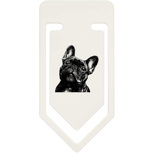 French bulldog portrait - 'french,