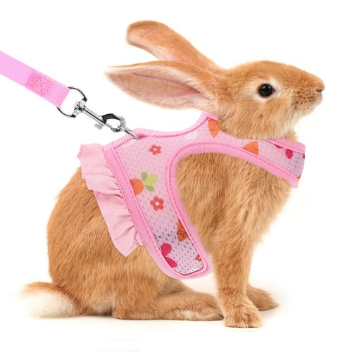 Adjustable rabbit leash - rabbit,