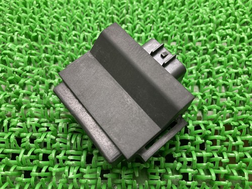 Genuine kawasaki 10r - genuine,