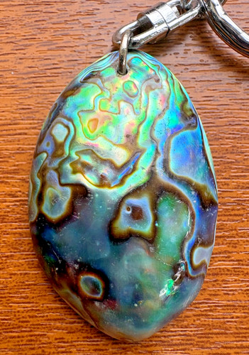 Abalone paua shell keyring - paua,