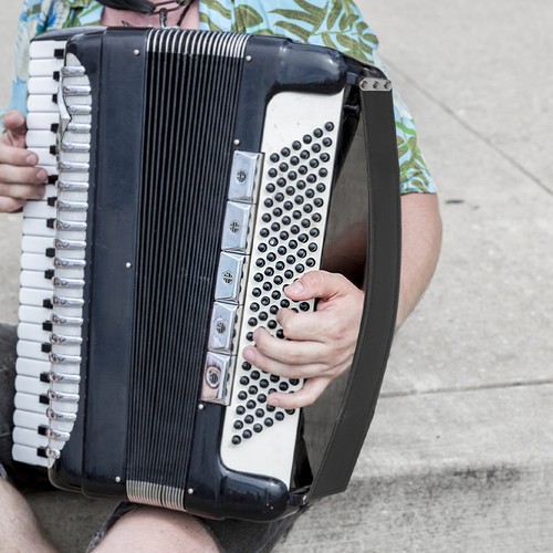 Replacement strap accordion - ,