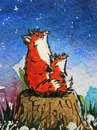Fox moon star - fox,