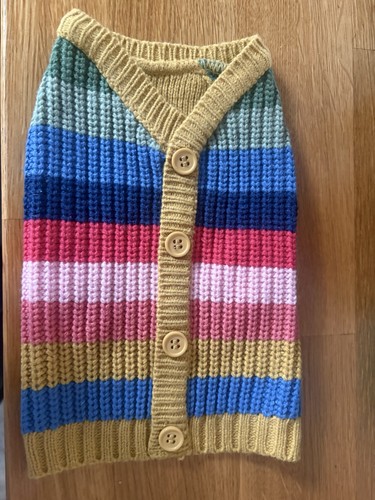 Sassy puppy xxs - sassy, jumper