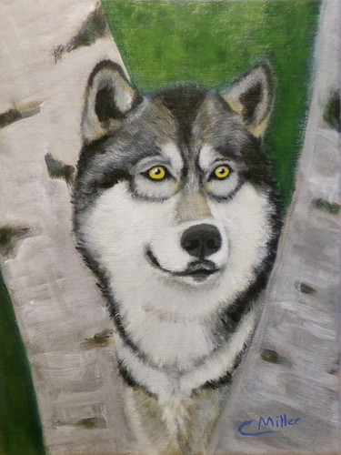 Original wolf painting 9x12 - painting,