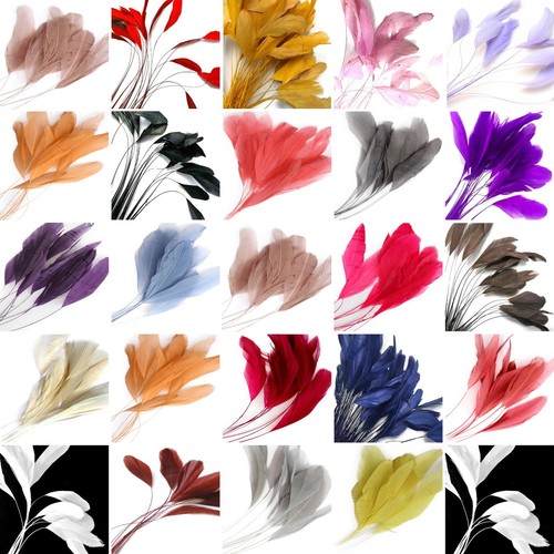 Stripped coque feathers per - coque,