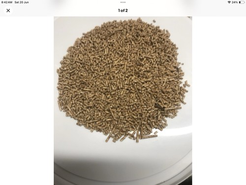 Quail grower and breeder - grower,