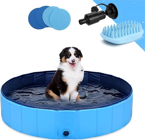 Gostock dog pool plastic - dog,