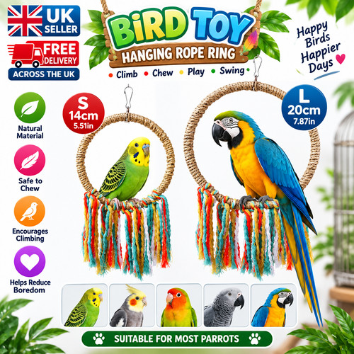 Pet bird parrot - pet,