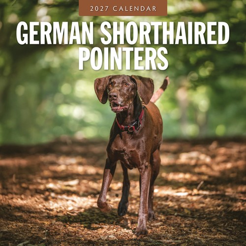 German shorthaired pointers - german,