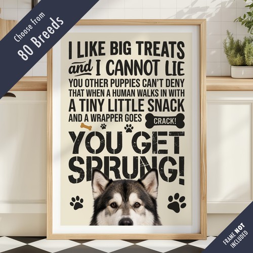 Funny dog treats - dog,