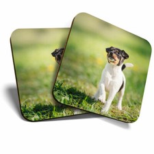 2 x Coasters - Cute Fox