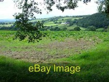 Photo 6x4 Fodder crop? I think