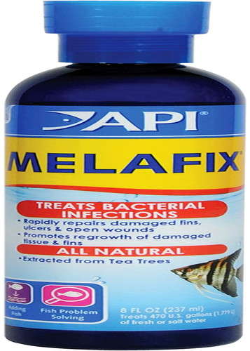 Api melafix freshwater fish - api,