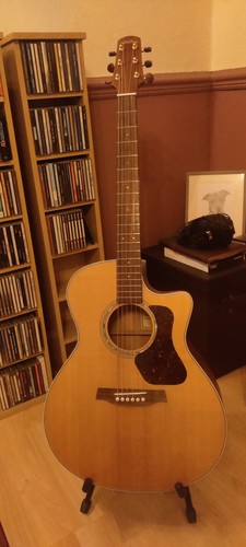 Walden g740ce electro acoustic - g740ce, electro-acoustic