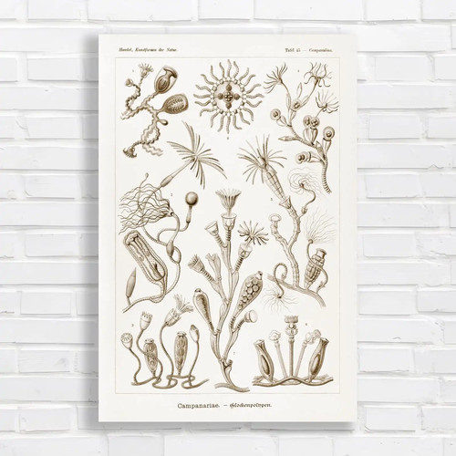 Vintage botanical - vintage,