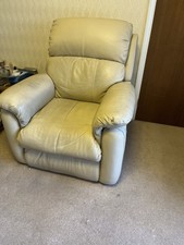 Dfs Electric Riser/recliner