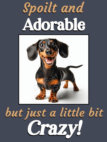Dachshund dog funny gift - dachshund,