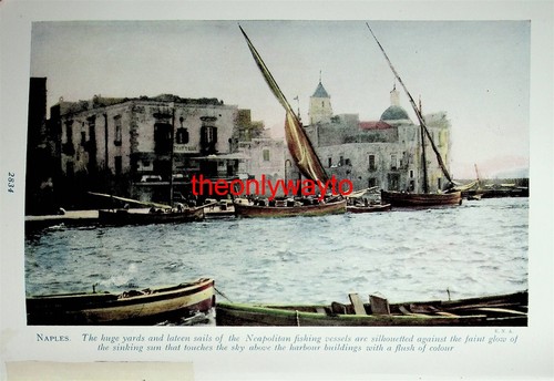 Neapolitan fishing vessels - fishing,