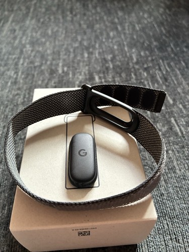 Google fitbit air screenless - google,