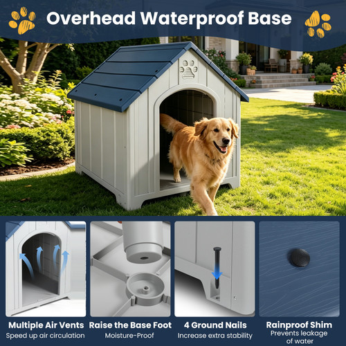 Outdoor dog - outdoor,