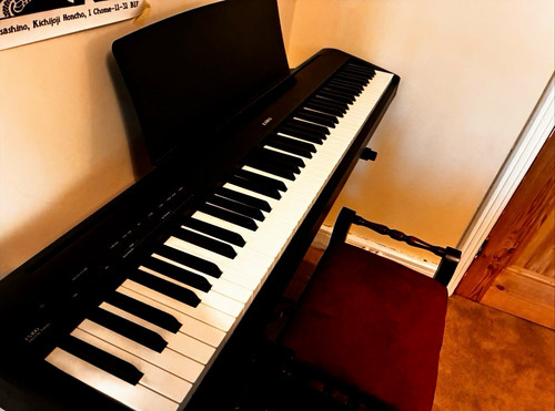 Kawai es100 key digital - es100,