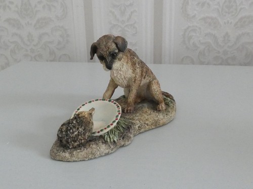 Border terrier jh75 - terrier,