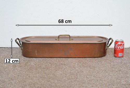 Old copper fish - old,