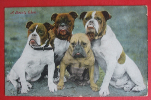 1907 dog comic gang - comic,