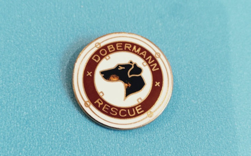 Vintage dobermann dog rescue - dobermann,