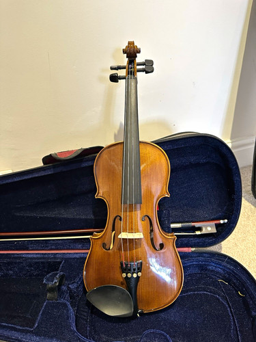 Stentor acoustic violin - acoustic,
