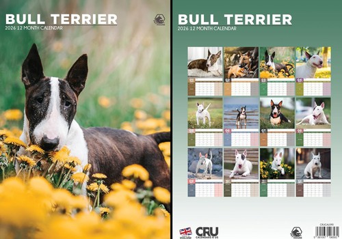 Bull terrier 2026 calendar - terrier,