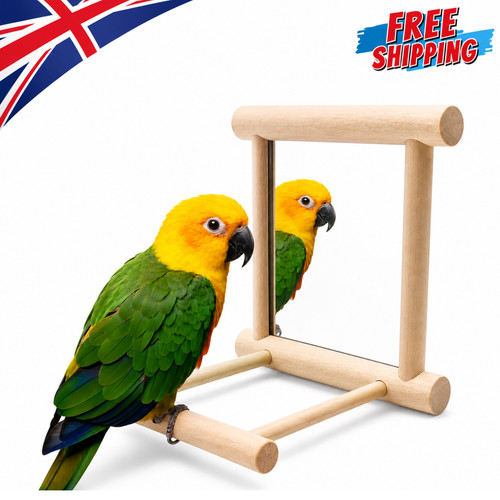 Wooden bird mirror - bird, interactive