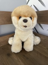 Gund Boo Pomeranian Plush 9" Soft Cuddly Toy Dog - Excellent Condition