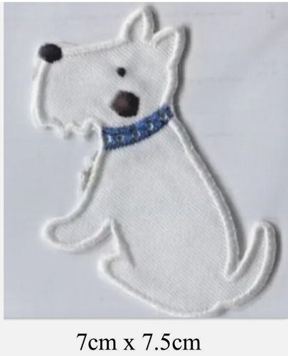 Bichon frise labrador - frise,,