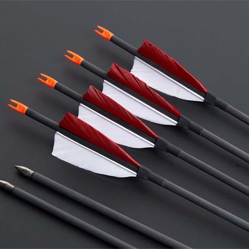 Pack archery carbon - 6-pack,
