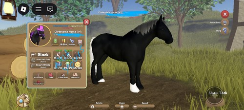 Wild horse islands roblox - wild,