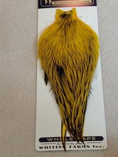 Whiting Amer. Rooster Cape