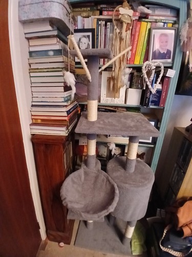 Grey beige medium - medium, condo