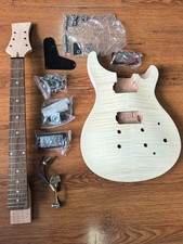 Half-finished SG electric